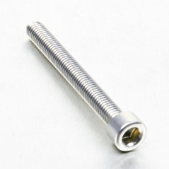 Cylindrical head aluminum screw  M6 x (1.00mm) x 55mm plata LPB65
