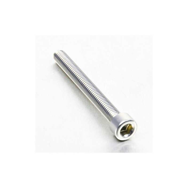 Cylindrical head aluminum screw  M6 x (1.00mm) x 55mm plata LPB65