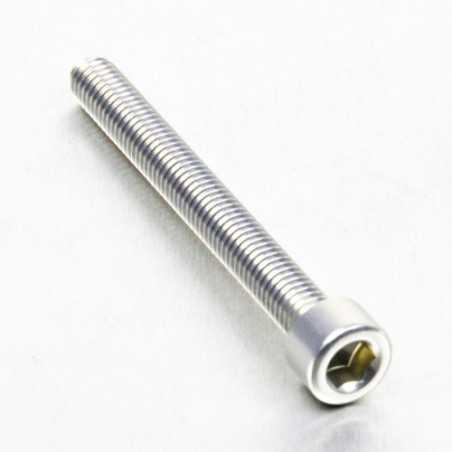 PRO-BOLT Tornillo de aluminio cabeza cilíndrica M6 x (1.00mm) 55mm plata LPB65 50002