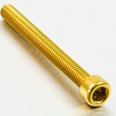 Cylindrical head aluminum screw  M6 x (1.00mm) x 60mm oro LPB660G