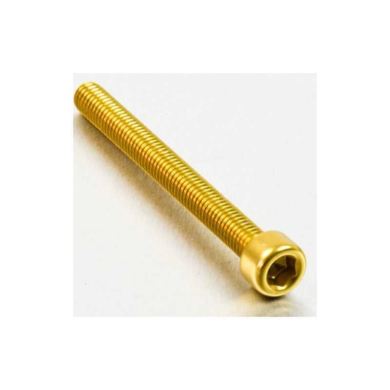 Cylindrical head aluminum screw  M6 x (1.00mm) x 60mm oro LPB660G