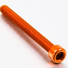 Cylindrical head aluminum screw  M6 x (1.00mm) x 65mm naranja LPB
