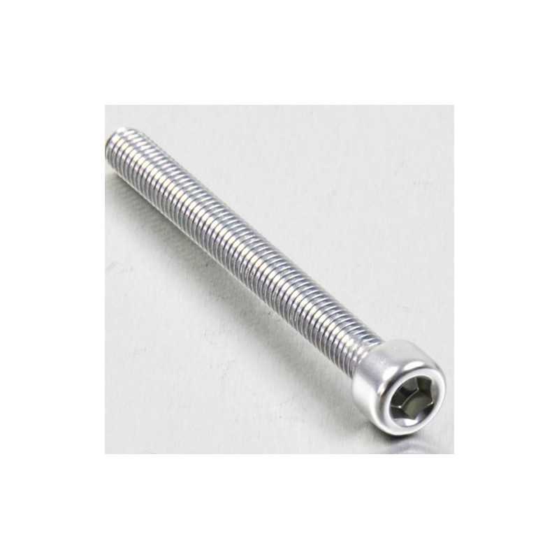 Cylindrical head aluminum screw  M6 x (1.00mm) x 65mm plata LPB66