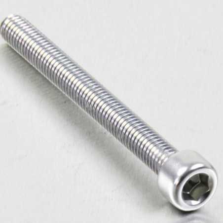 Cylindrical head aluminum screw  M6 x (1.00mm) x 65mm plata LPB66