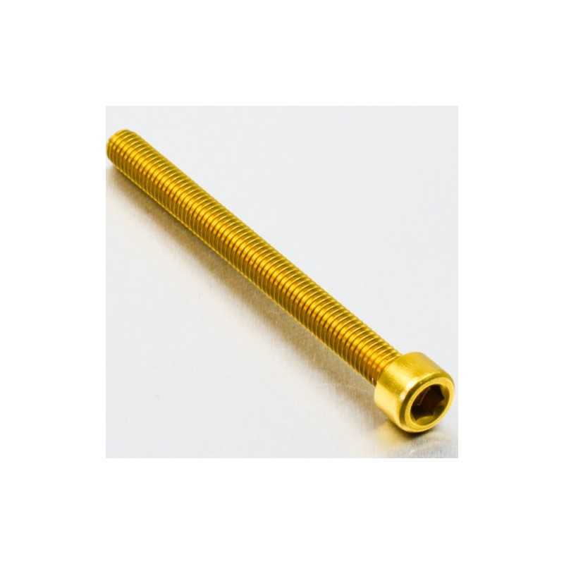 Cylindrical head aluminum screw  M6 x (1.00mm) x 70mm oro LPB670G