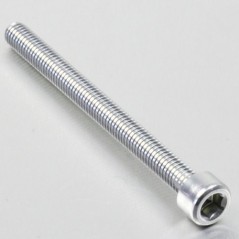 Cylindrical head aluminum screw  M6 x (1.00mm) x 80mm plata LPB68