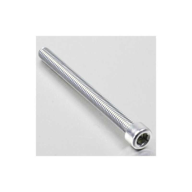 Cylindrical head aluminum screw  M6 x (1.00mm) x 80mm plata LPB68