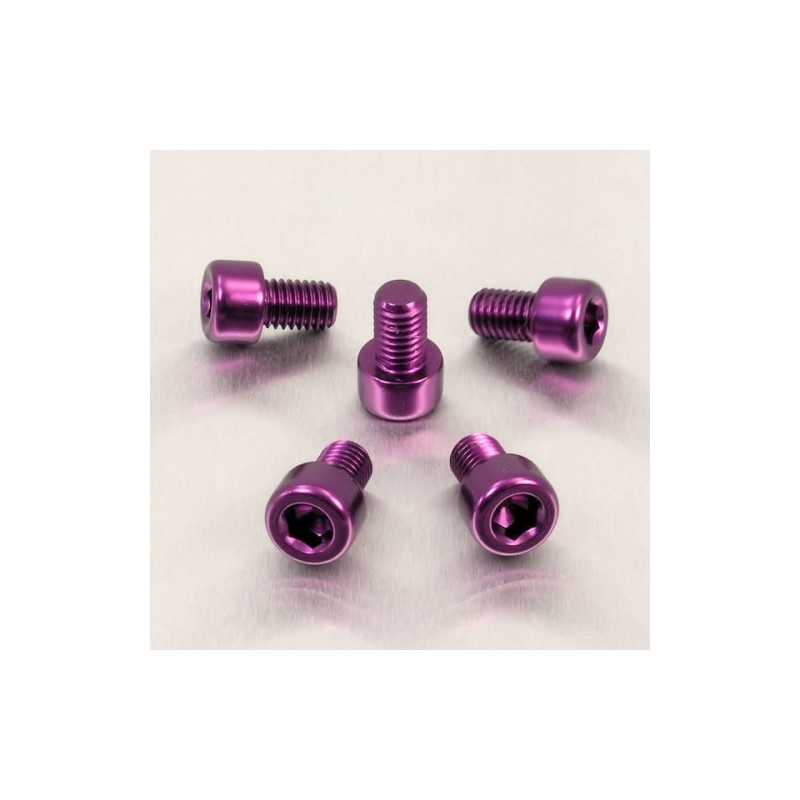 Cylindrical head aluminum screw  M8 x (1.25mm) x 12mm violeta LPB