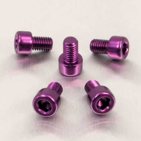 Cylindrical head aluminum screw  M8 x (1.25mm) x 12mm violeta LPB