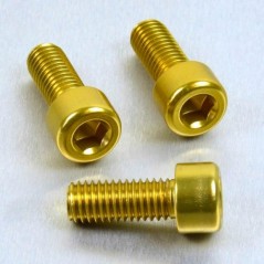 PRO-BOLT Tornillo de aluminio cabeza cilíndrica M8 x (1.25mm) 20mm oro LPB820G 50062