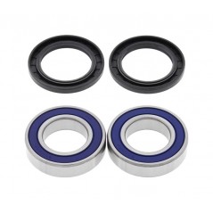 Kit, bearings, wheel, rear