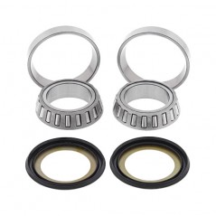Kit, bearings and seals spine steering
