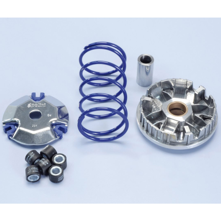 variator
