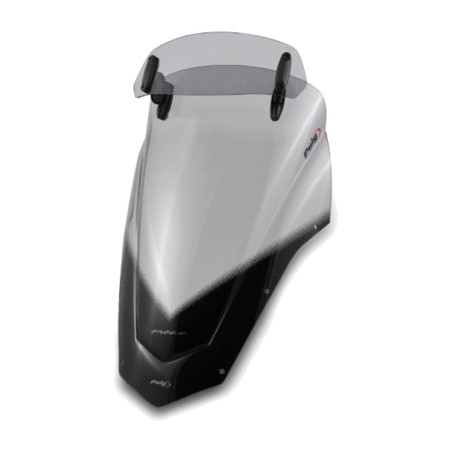 windshield screen touring with visor