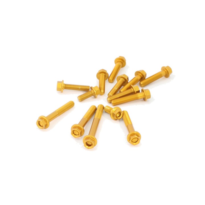EVOTECH Engine screw kit KVM-0807