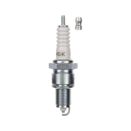 bugia bp5es