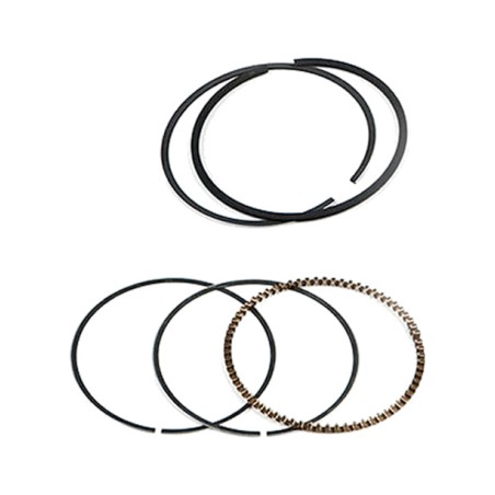 segmentos de piston  (113601574)