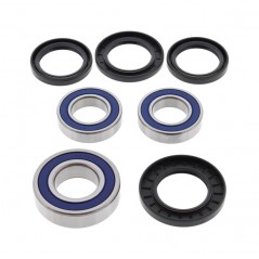 ALL BALLS Kit rodamientos rueda trasera 17143