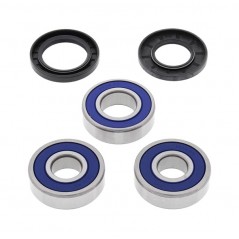 ALL BALLS Kit rodamientos rueda trasera 17125