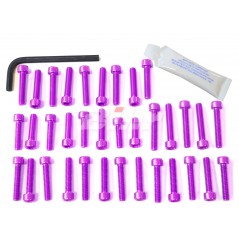 PRO-BOLT Kit tornillería aluminio motor EOYA35 50589VAR