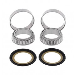 Kit, bearings and seals spine steering