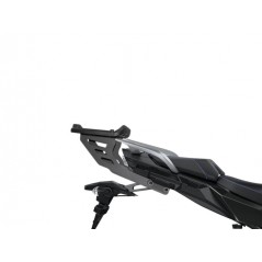 Back trunk + big top fitting + passenger support  SH59X ALU