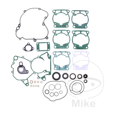 complete engine gaskets