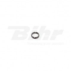 Protector seals for fork  WP