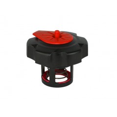 Special gas bottle cap