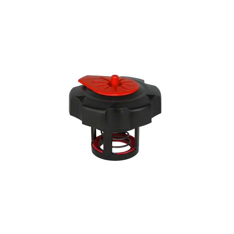 Special gas bottle cap