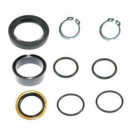 ALL BALLS Kit de reparacion piñon salida 25-4001 38253