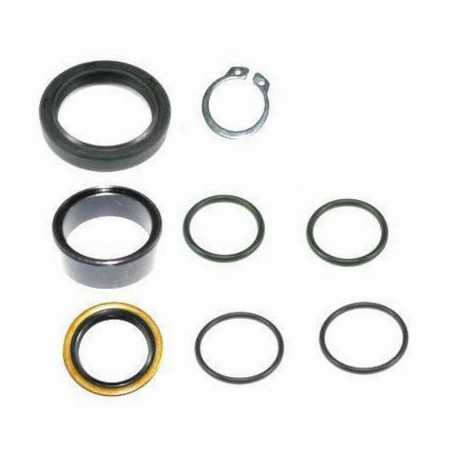 ALL BALLS Kit de reparacion piñon salida 25-4003 38255