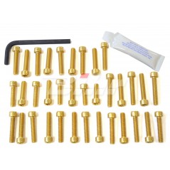 PRO-BOLT Kit tornillería aluminio motor EOYA10G Oro 52450