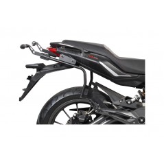 Lateral cases + back trunk + big top fitting + internal bag + 3p hardware  SH59X