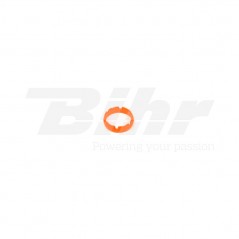 Protector seals for fork  WP