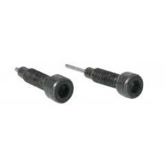 Pair, replacement screws, for distribution chain tool
