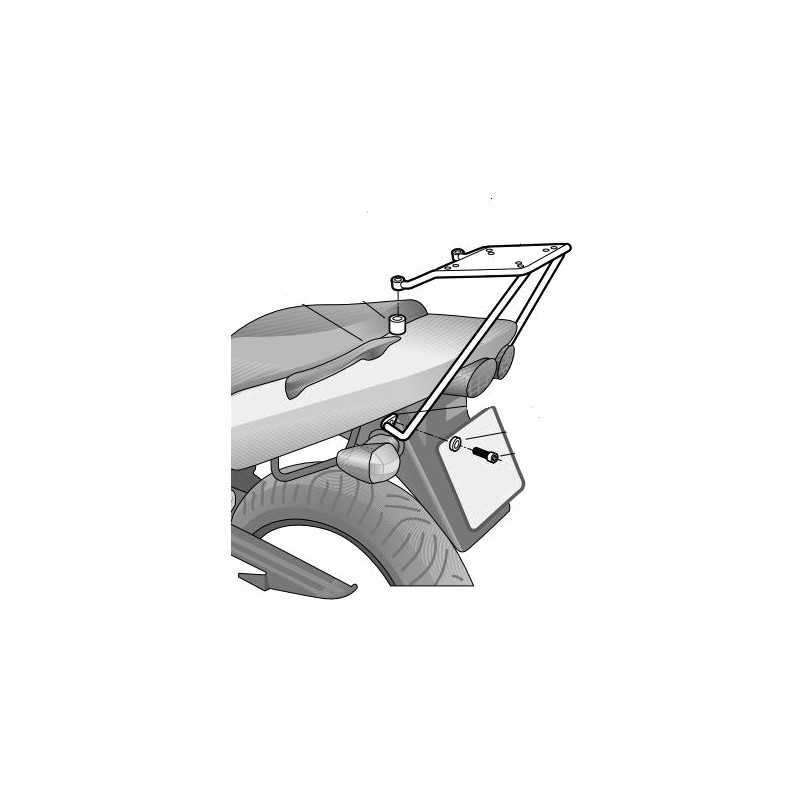 Trunk supports, anchors, settings  Top Master