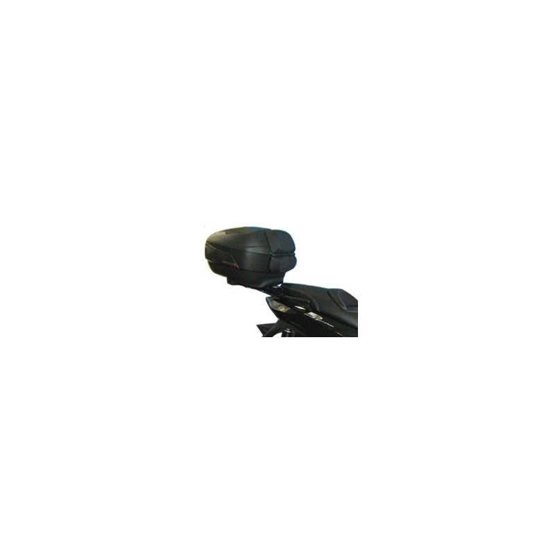 TRUNK SUPPORTS, ANCHORS, SETTINGS