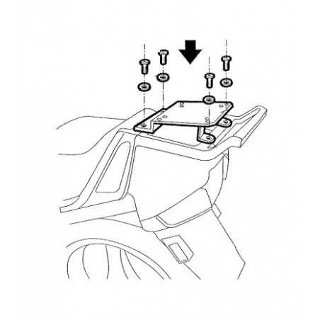 TRUNK SUPPORTS, ANCHORS, SETTINGS