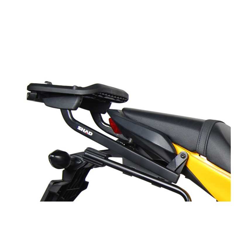 Trunk supports, anchors, settings  Top Master