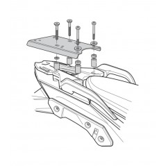 TRUNK SUPPORTS, ANCHORS, SETTINGS