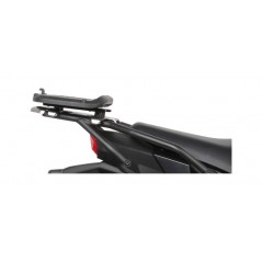 TRUNK SUPPORTS, ANCHORS, SETTINGS