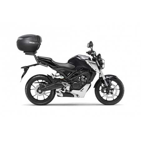 TRUNK SUPPORTS, ANCHORS, SETTINGS