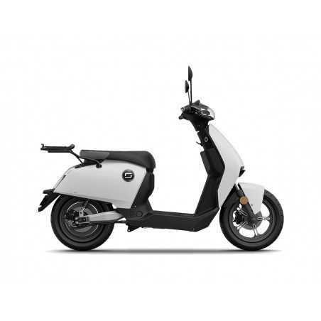 TRUNK SUPPORTS, ANCHORS, SETTINGS