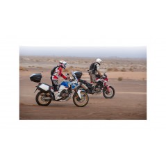 SHAD Maletas laterales de aluminio SC SH35 PREMIUM para moto con diseño aerodinámico y capacidad un casco D0B35200