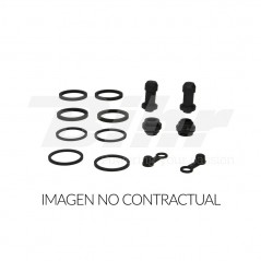 Brake caliper repair kit