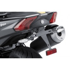 License plate support