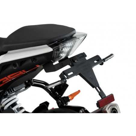 Plate support license holder