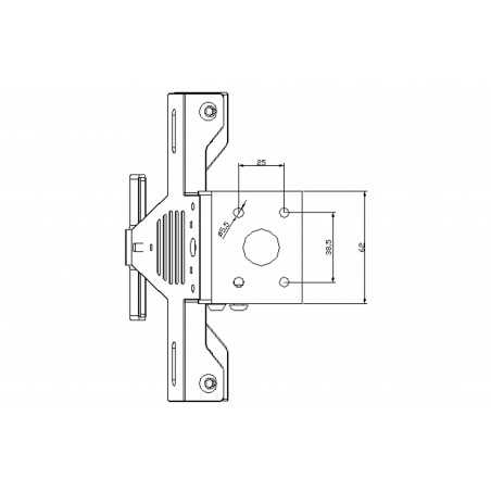 Plate support license holder