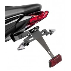 Plate support license holder